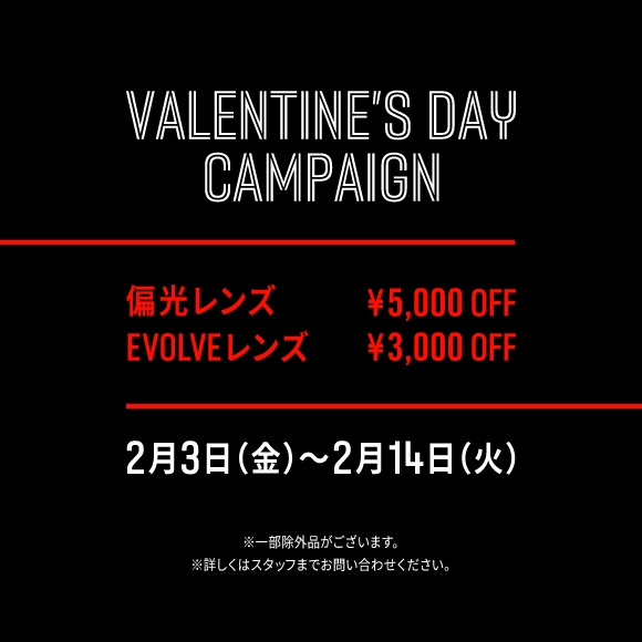 Valentine's Day Campaign